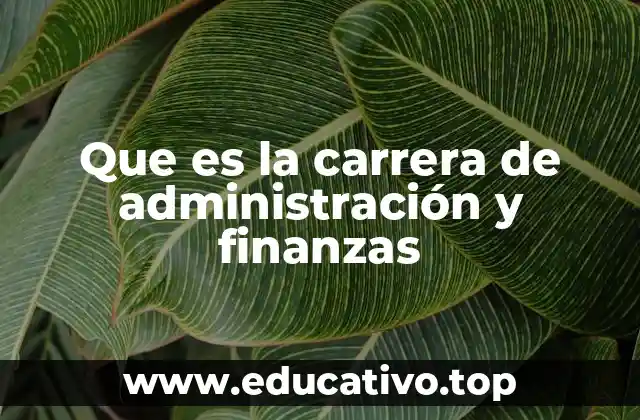 Que es la carrera de administración y finanzas