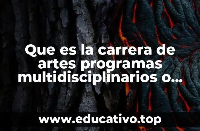 Que es la carrera de artes programas multidisciplinarios o generales