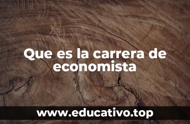 Que es la carrera de economista