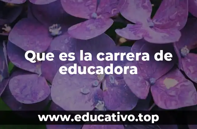 Que es la carrera de educadora
