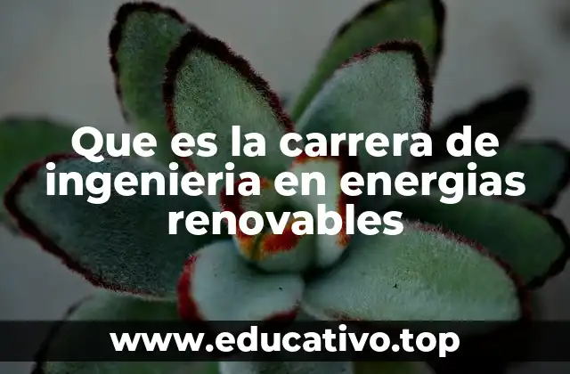 Que es la carrera de ingenieria en energias renovables
