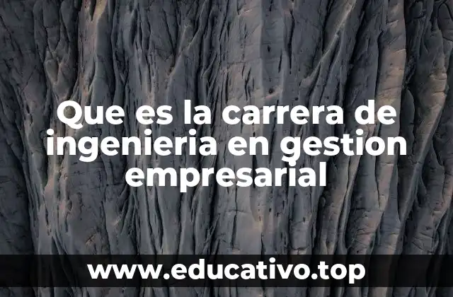 Que es la carrera de ingenieria en gestion empresarial