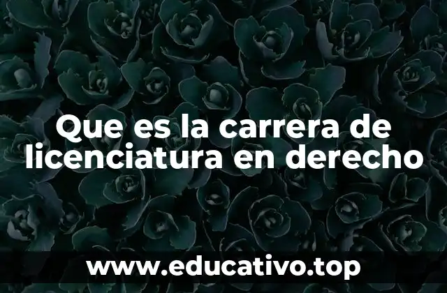 Que es la carrera de licenciatura en derecho