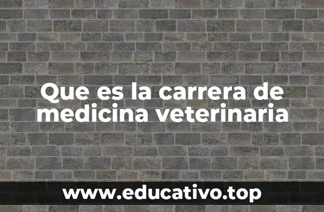 Que es la carrera de medicina veterinaria