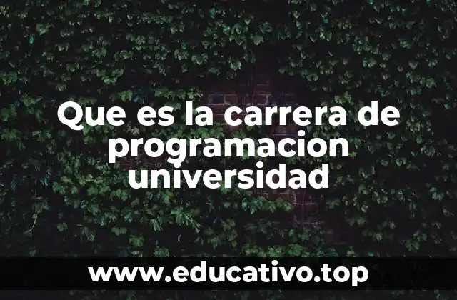 Que es la carrera de programacion universidad