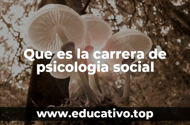 Que es la carrera de psicologia social