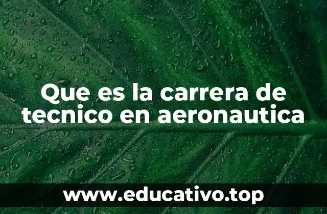 Que es la carrera de tecnico en aeronautica