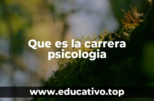 Que es la carrera psicologia