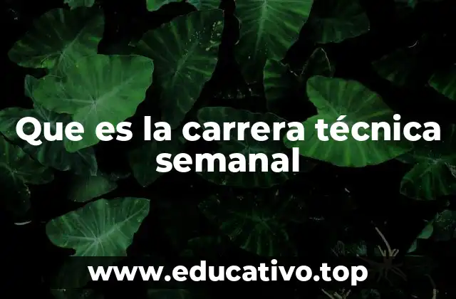 Que es la carrera técnica semanal
