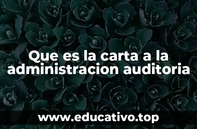Que es la carta a la administracion auditoria