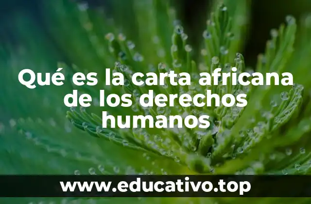 Qué es la carta africana de los derechos humanos