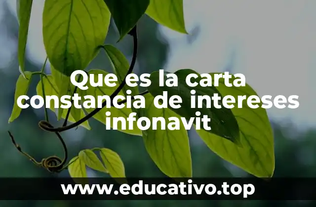 Que es la carta constancia de intereses infonavit