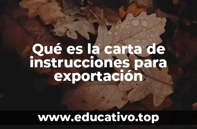 Qué es la carta de instrucciones para exportación