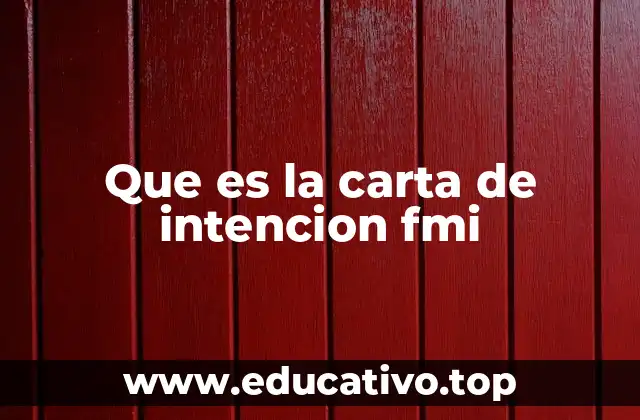 Que es la carta de intencion fmi