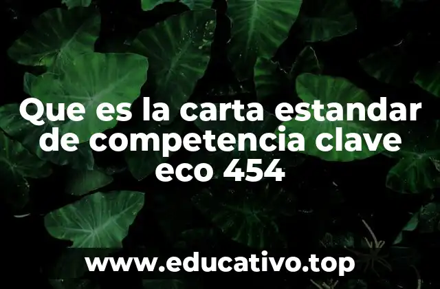 Que es la carta estandar de competencia clave eco 454