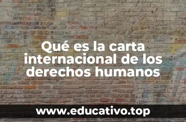 El papel de las Naciones Unidas en la protección de los derechos humanos