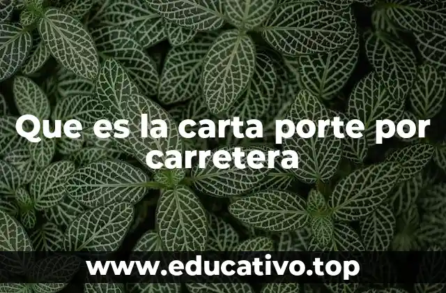 Que es la carta porte por carretera