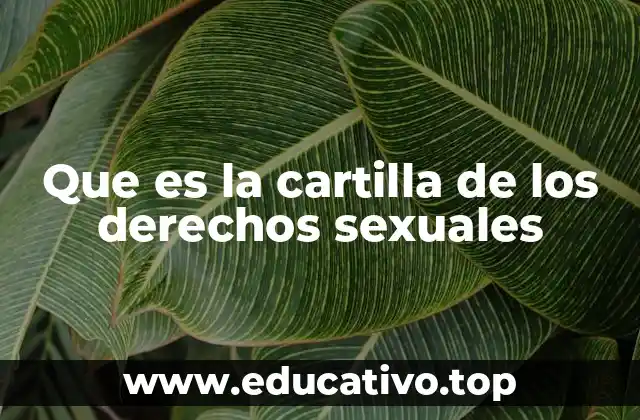 Que es la cartilla de los derechos sexuales