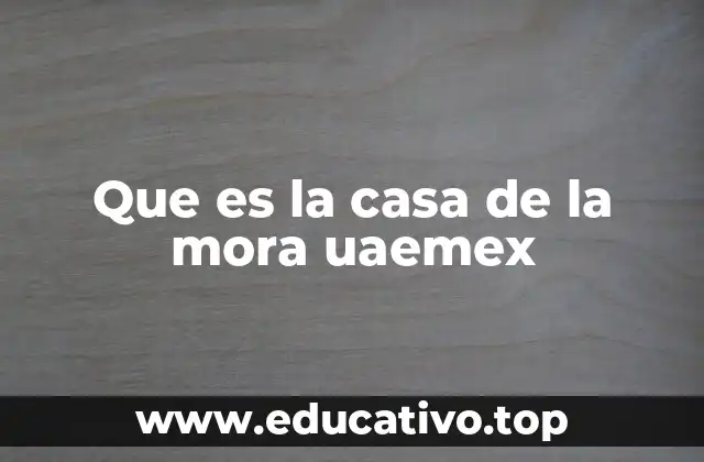 El papel de la Casa de la Mora en la vida universitaria