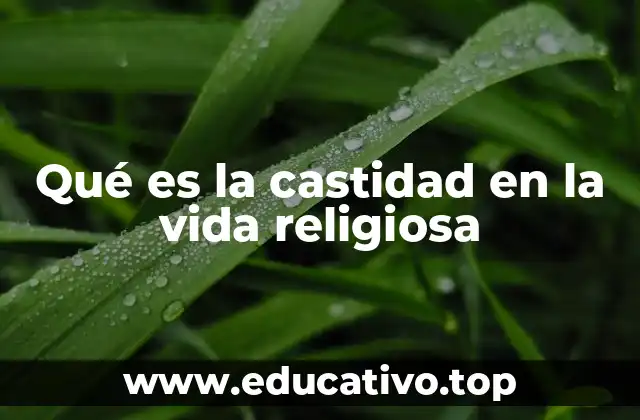 Qué es la castidad en la vida religiosa