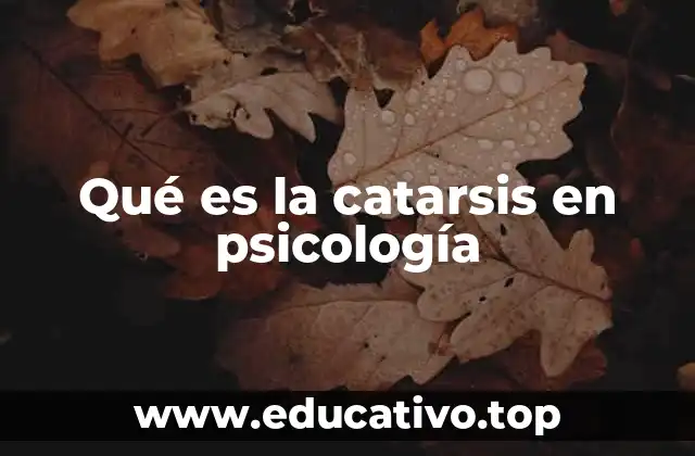 Qué es la catarsis en psicología