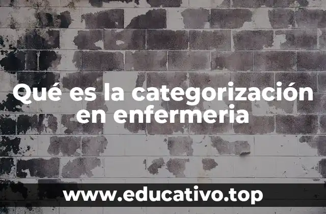 Qué es la categorización en enfermeria