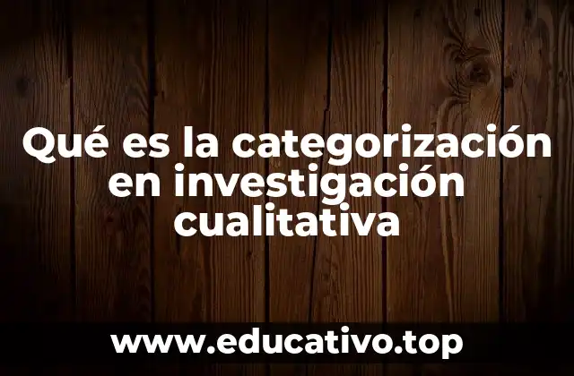 Qué es la categorización en investigación cualitativa