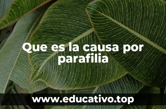 Que es la causa por parafilia