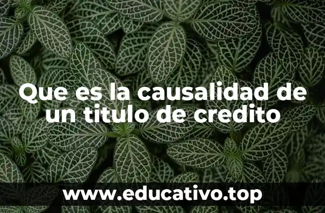 La importancia de la base jurídica en los títulos de crédito