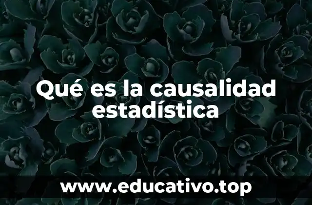 Qué es la causalidad estadística