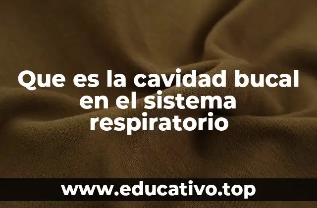 Que es la cavidad bucal en el sistema respiratorio