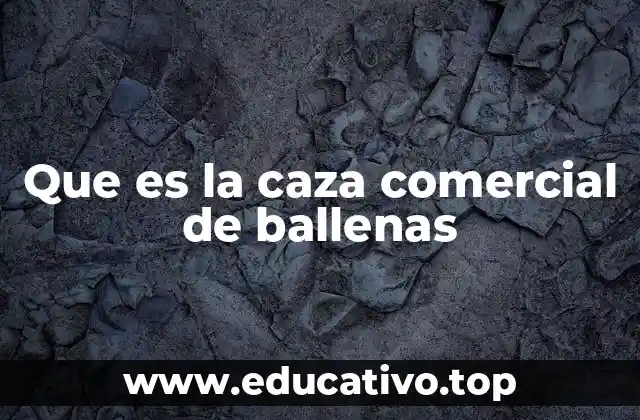 Que es la caza comercial de ballenas