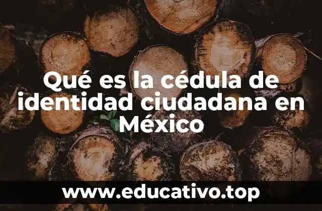 Qué es la cédula de identidad ciudadana en México