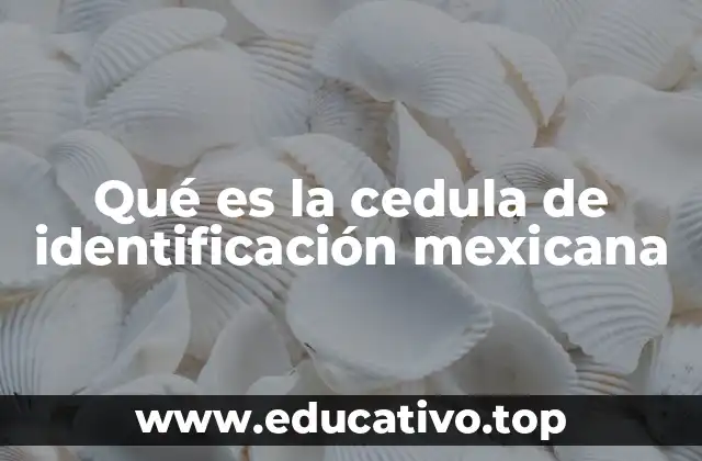 Qué es la cedula de identificación mexicana