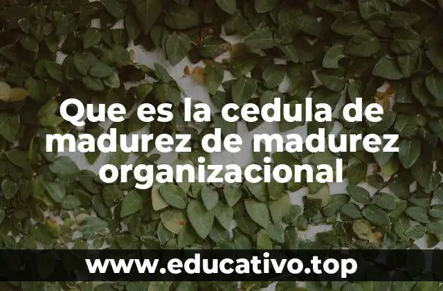 Que es la cedula de madurez de madurez organizacional