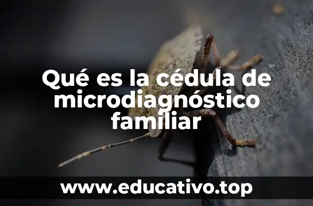 Qué es la cédula de microdiagnóstico familiar