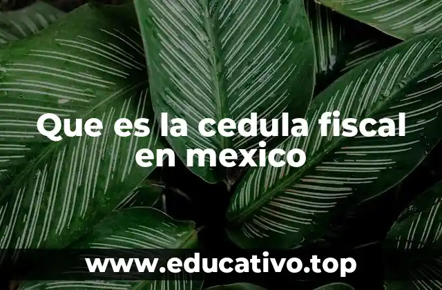 Que es la cedula fiscal en mexico
