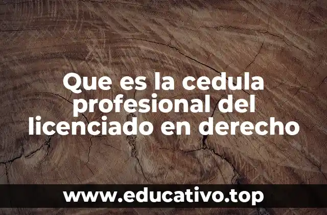 Que es la cedula profesional del licenciado en derecho