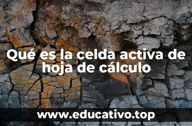 Qué es la celda activa de hoja de cálculo