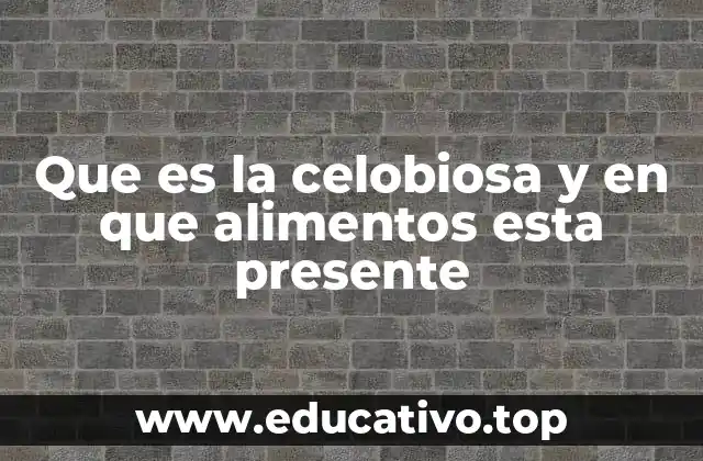 La estructura química y propiedades de la celobiosa