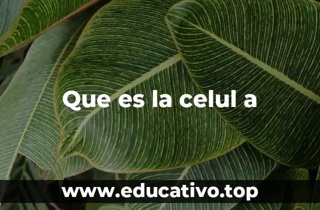 Que es la celul a