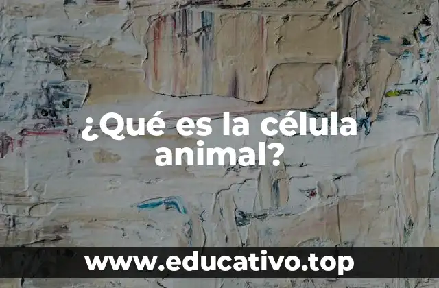 ¿Qué es la célula animal?