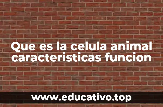 Que es la celula animal caracteristicas funcion