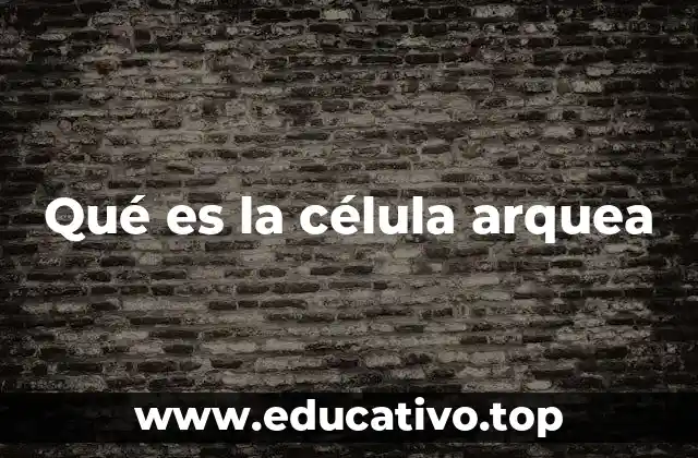 Qué es la célula arquea