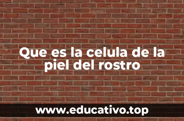 La estructura y funciones de las células de la piel facial