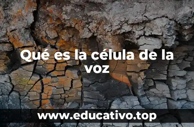 Qué es la célula de la voz