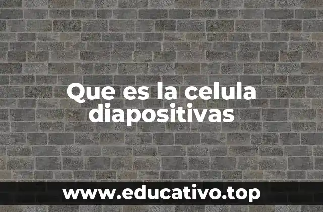 Que es la celula diapositivas