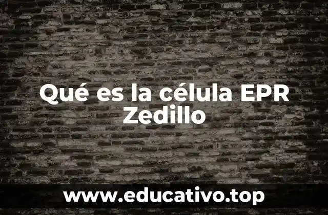 Qué es la célula EPR Zedillo