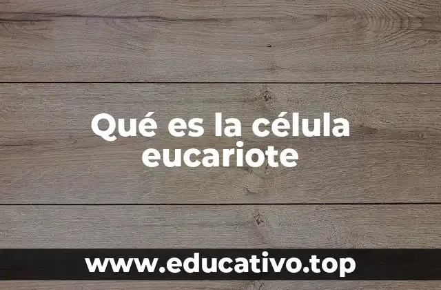Qué es la célula eucariote