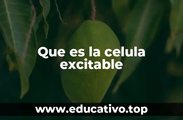 Que es la celula excitable
